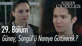 Güney, Songülü Nereye Ürecek? - Kırgın Çiçekler 29. Bölüm