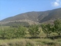 amrrakchi 2012
