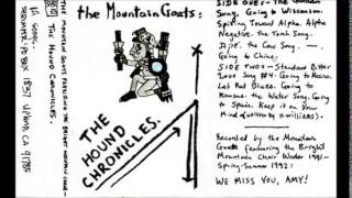 Watch Mountain Goats The Cow Song video