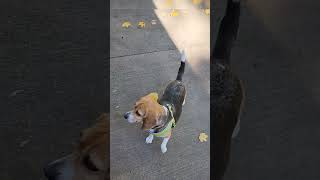 Myra May Arrive At Aunt Neisies