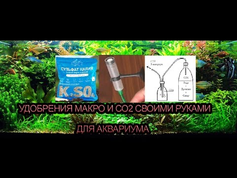Калийное удобрение для аквариума своими руками Калийное удобрение для аквариума своими руками