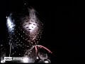 armour