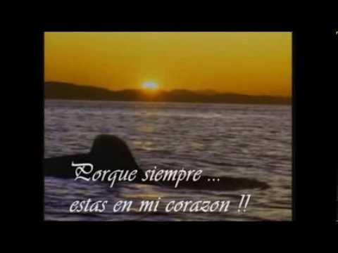 Michael Jackson - Will You Be There - Subtitulado al español...