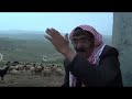 بدو في زمن الآي باد-nomads in the 21st century