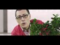 mpeg 4 hd