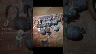 Retour Affectif Rapide Efficace Rituel Ducadenas Damour Vaudou Marabout Vaudou Nabil229 64353228