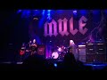 Gov't Mule - TNT/Back In Black 12/31/14