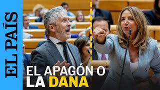 Las Acusaciones Cruzadas Entre Marlaska Y García En El Senado El País