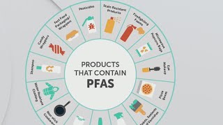 What are PFAS and what threat do they pose?