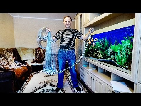секреты заброса кастинговой сети секреты заброса кастинговой сети