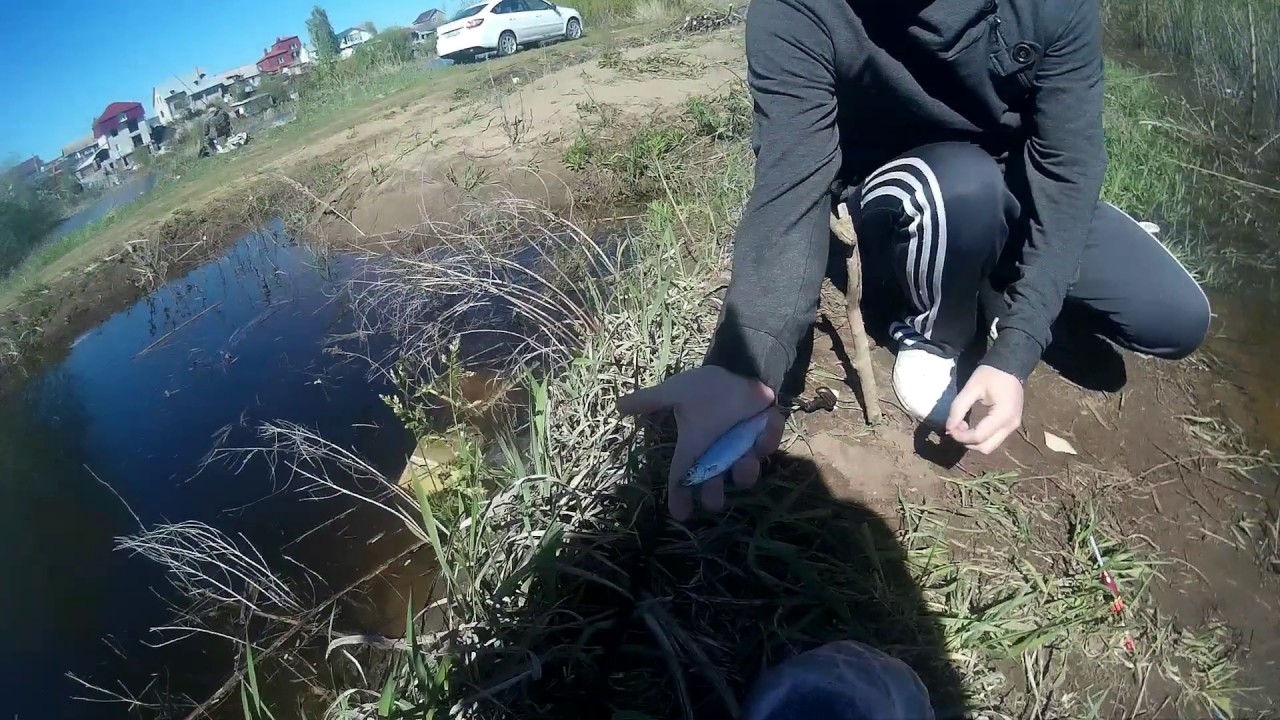 Что вы подарили мужу на 5 лет свадьбы Что вы подарили мужу на 5 лет свадьбы