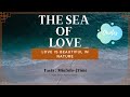 Quote : SEA OF LOVE I Love is beautiful in nature