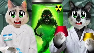 Школа Котов: Урок Химии! Безумные Опыты И Эксперементы Для Смешных Котов