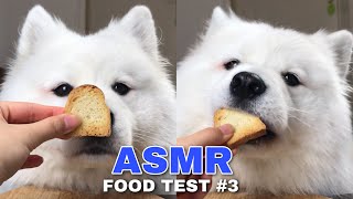 ASMR Dog Reviewing Different Types of Food #3 I MAYASMR