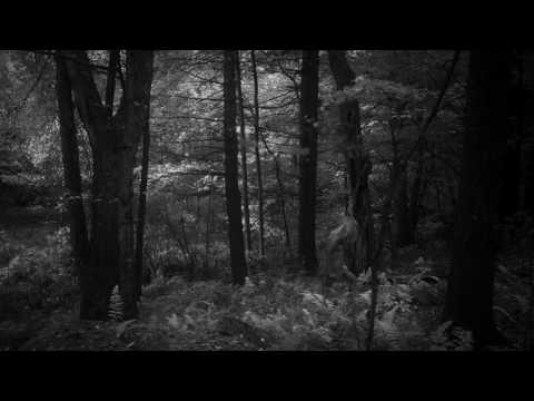 Breathe Life Into Beauty Video