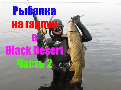 бдо еда для рыбалки бдо еда для рыбалки
