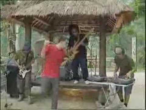 Prana - Birdsong