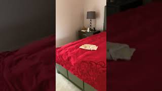 Google Makes Fart Noises, Boring Lol