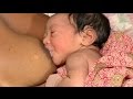 Attaching Your Baby at the Breast (Malay) - Breastfeeding Series