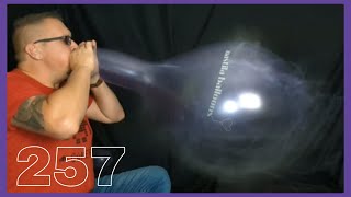 257 - B2P 17 Glossy Metallic Belbal Balloon By Nastila-Balloons
