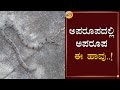 Kukri snake sighting in Bangalore Kukri Snake Video | Bangalore | TV5 Kannada