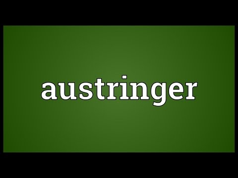 Header of austringer