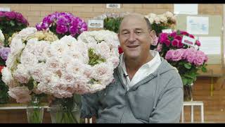 Wedding Rosever Spr