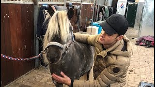 MEETING MY NEW HORSE FOR THE FIRST TIME|| MATT HARNACKE