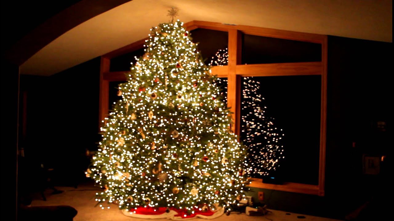 amazing grace christmas tree light show techno wawra vixen christmas light controller software
