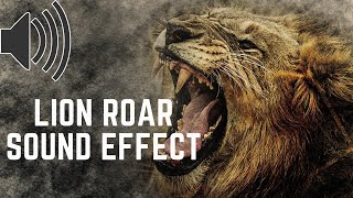 Lion Roar Sound Effect