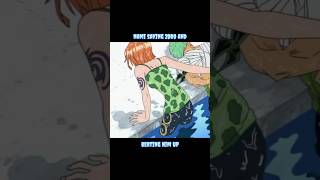 Nami Saving Zoro And Then Beating Him Up