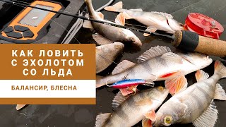 Как ловить окуня с эхолотом. Блесна, балансир. Азы для начинающих.