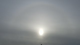 0955 Am Woking, England - United Kingdom 100222