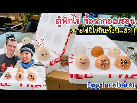 ตู้ฟักไข่ไก่ ไข่เป็ด ซื้อออนไลน์จากอเมซอน ราคานี้ซื้อไข่กินทั้งปี EP.534/Egg Incubator/แขมรอินเตอร์