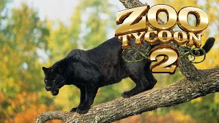 Zoo Ty 2 - Black Panther Exhibit