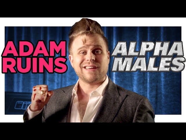 Alpha Males Do Not Exist - Video
