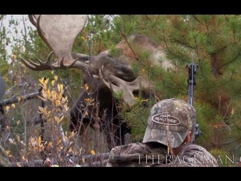 World Record Moose Shot