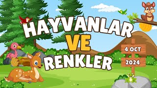 Hayvanlarla Renkleri Öğreniyoruz Renkli Hayvanlar Dünyasını Keşfetmeye Hazır Mısın?