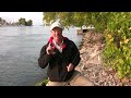 How to Catch Rainbow Trout and Brown Trout from Shore - Tips, Tricks, and Secrets