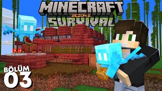 Allay Taktikli Karpuz ve Kabak Sistemi! - Minecraft Survival #3