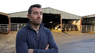 Teagasc 绿色英亩小牛对牛肉农民Conor Greene