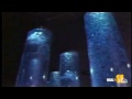 'Action News' Montage At The Aquarium