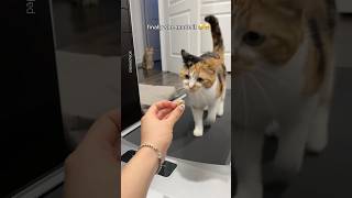 Fitness Girl Fts. Treadmill
