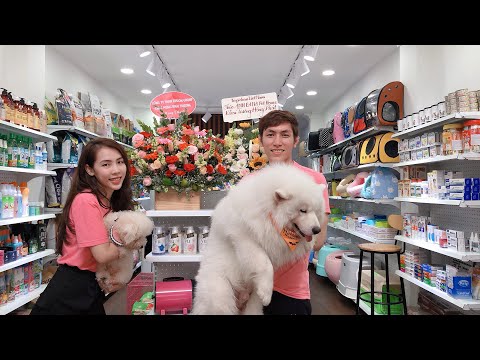 Shop thú cưng Anh Ba Na Pet House tại Quận 10 có gì đặc biệt?