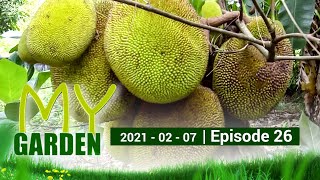 My Garden | Episode 26 | 07 - 02 - 2021