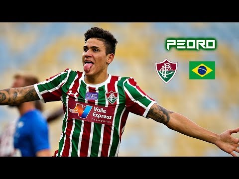 Pedro 2018-2019 - Insane Skills Goals & Assist - Fluminense