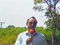 cultivo de caucho