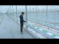Overzicht van een week bij T.W. van Noord Tomaten