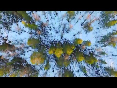нанкпех рыбалка нанкпех рыбалка