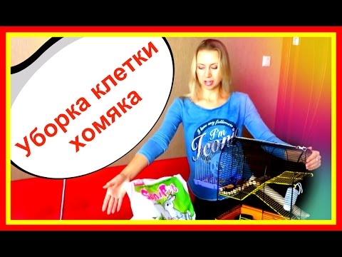Как сделать лабиринт для хомяков своими руками Как сделать лабиринт для хомяков своими руками